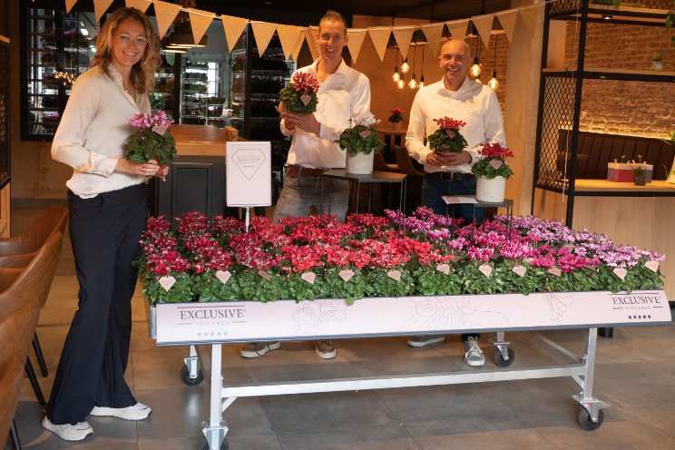 Bergcamp introduceert Cyclamen Exclusive