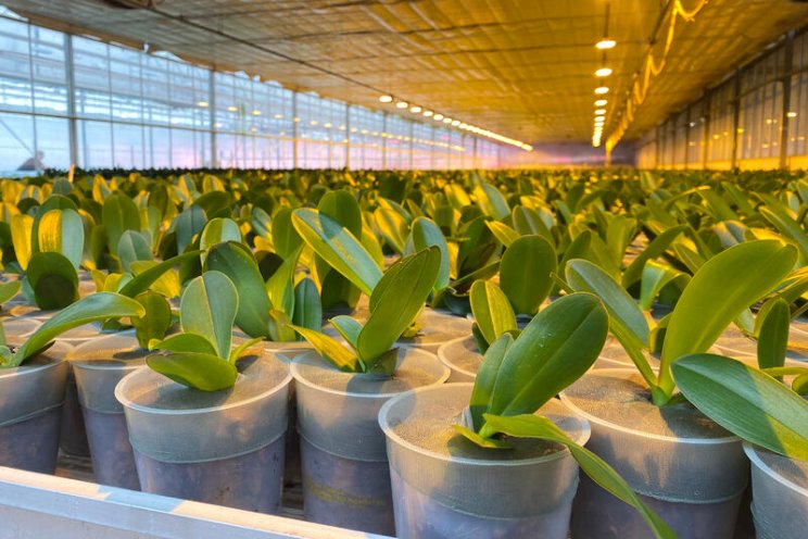 100% biologisch kweken