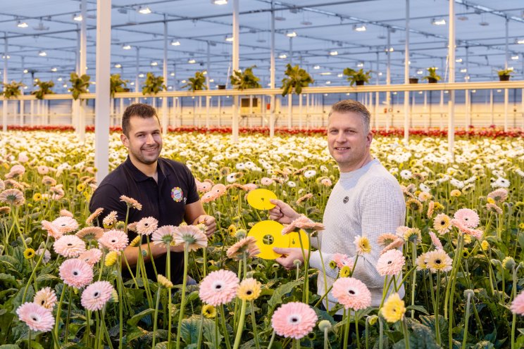 Sticky disc voorkomt schade ringpootoorworm