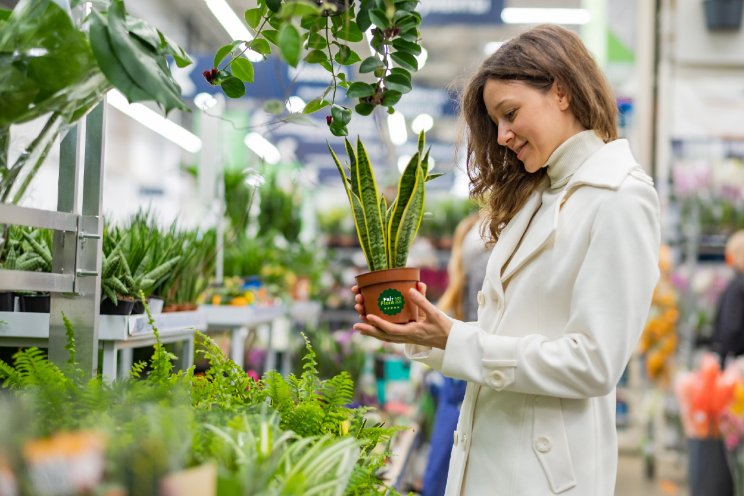 Fair Flora geeft ‘smoel’ aan duurzame planten