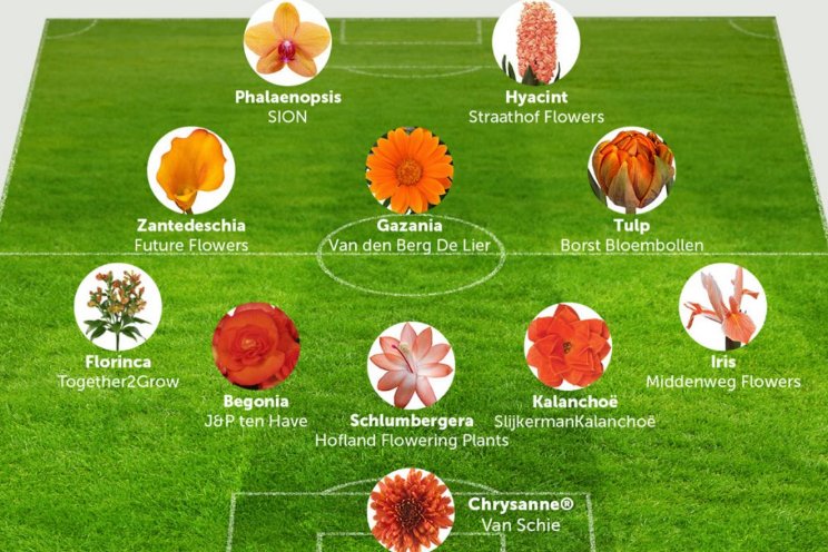 Het elftal van Decorum