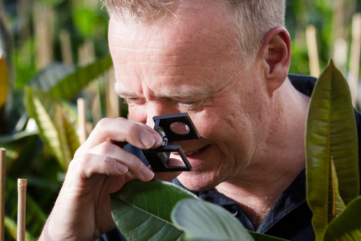 Jaaroverzicht 2023: Plantgezondheid