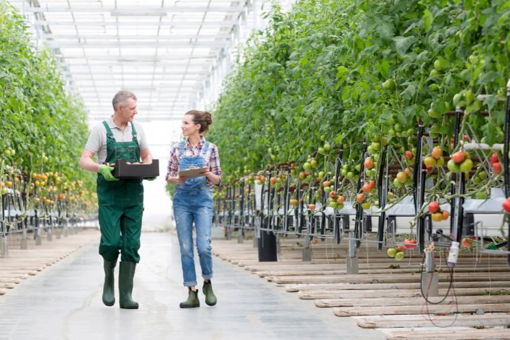 LTO Verzekeringen en Topteam samen verder