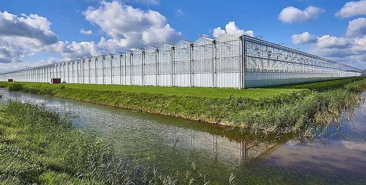 Afzet en rendement tuinbouw onder druk