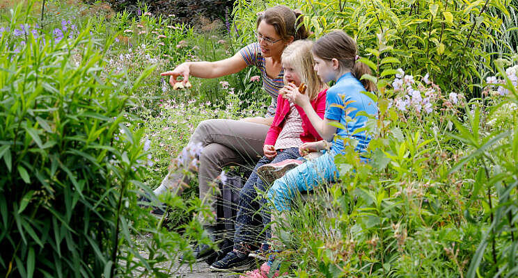 Tips stads- en balkontuin