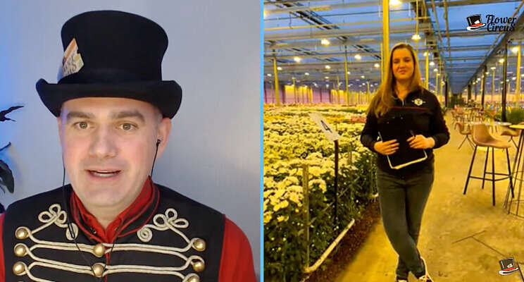 Video: Flower Circus Walks bij Deliflor Chrysanten