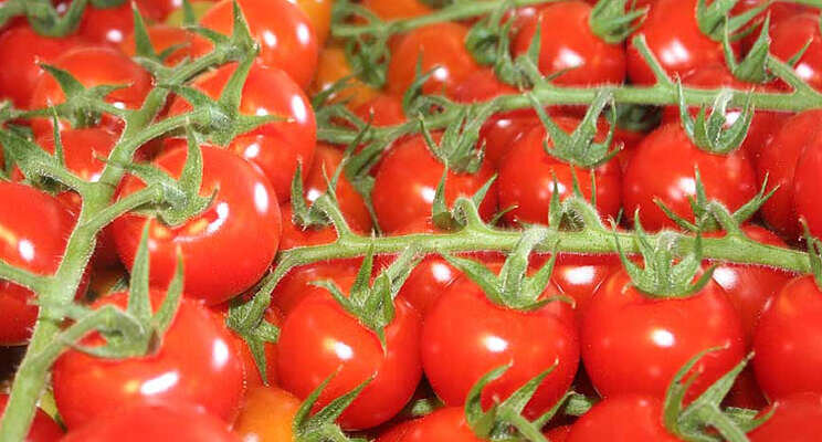 Meer tomaten, minder paprika's naar VK