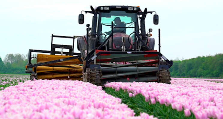 Opmaat voor verdere samenwerking PrimA4a