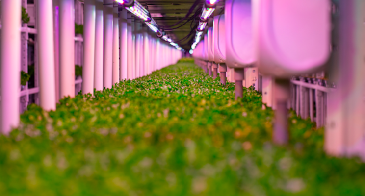 Vertical Farming Wednesday... Nieuw design, footprint omlaag?