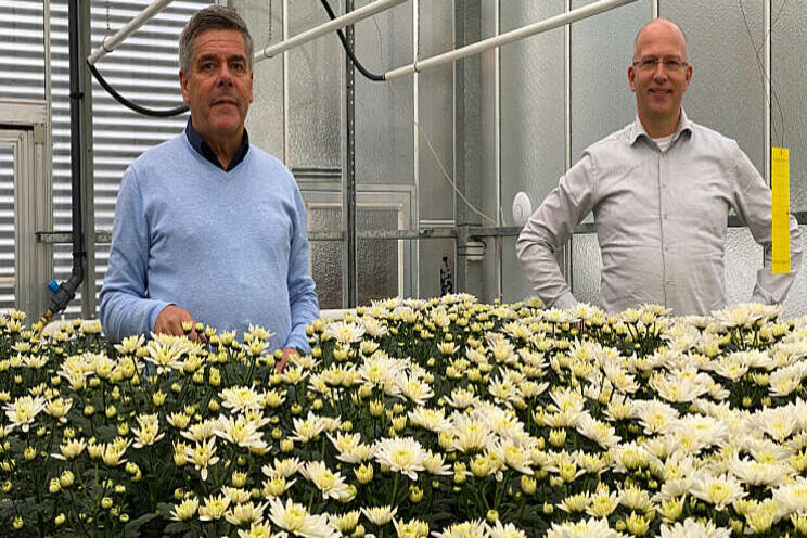 ErfGoedVloer basis voor grondgebonden bloemen