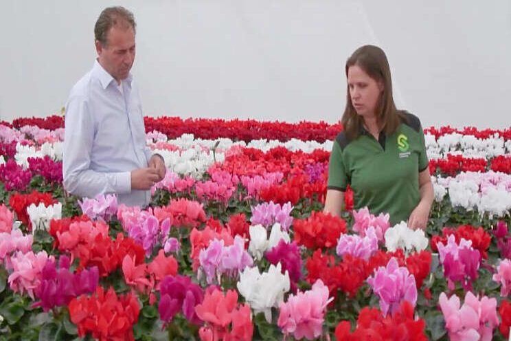 Video: Kijkje bij Schoneveld