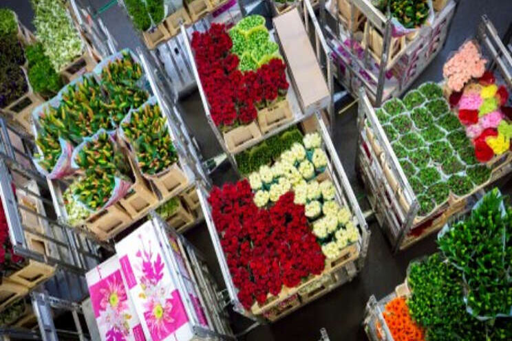 FloraHolland wint kort geding over zeecontainers