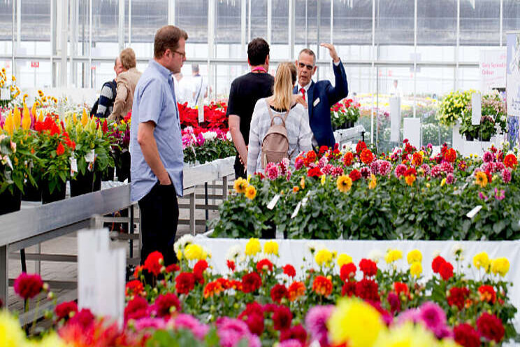 FlowerTrials voorzichtig positief over fysiek event