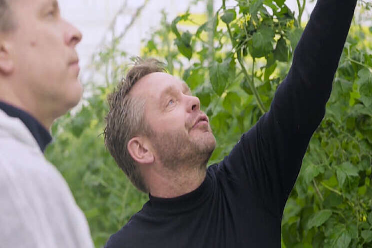 Video: Vergroenen in de tomatenkas