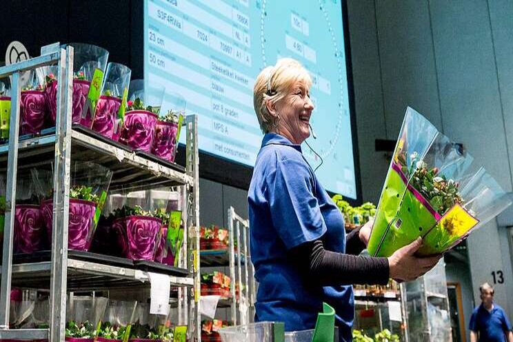 FloraHolland beticht van octrooischending