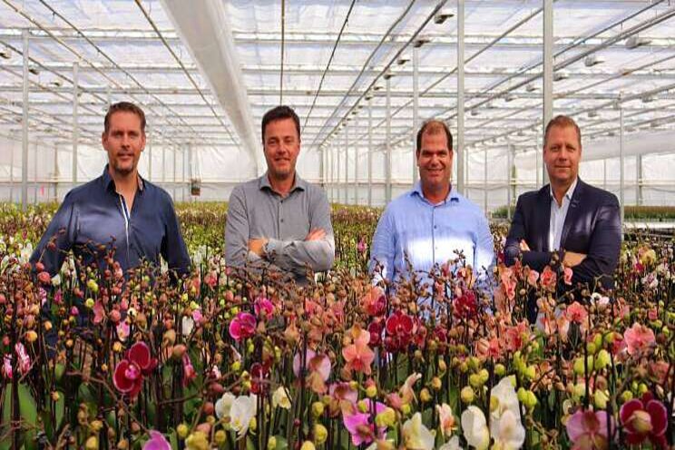 Aardse Orchids stelt vierkoppige directie aan