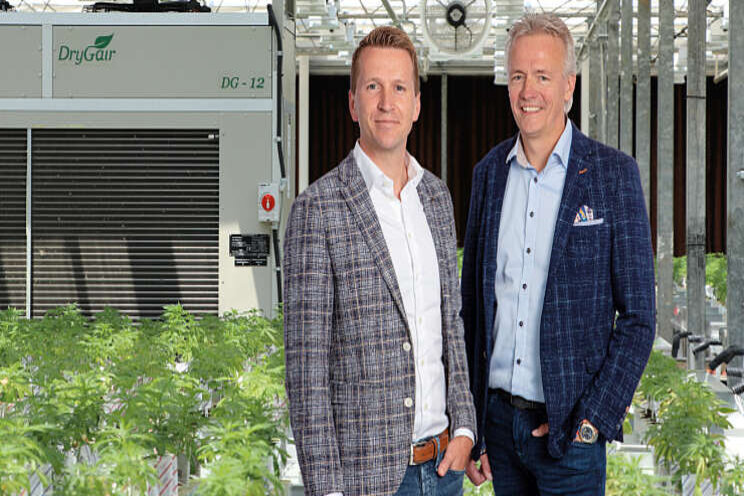 Royal Brinkman richt vizier op cannabisteelt