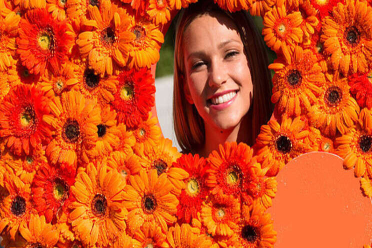 Haal Koningsdag dit jaar in huis met gerbera's